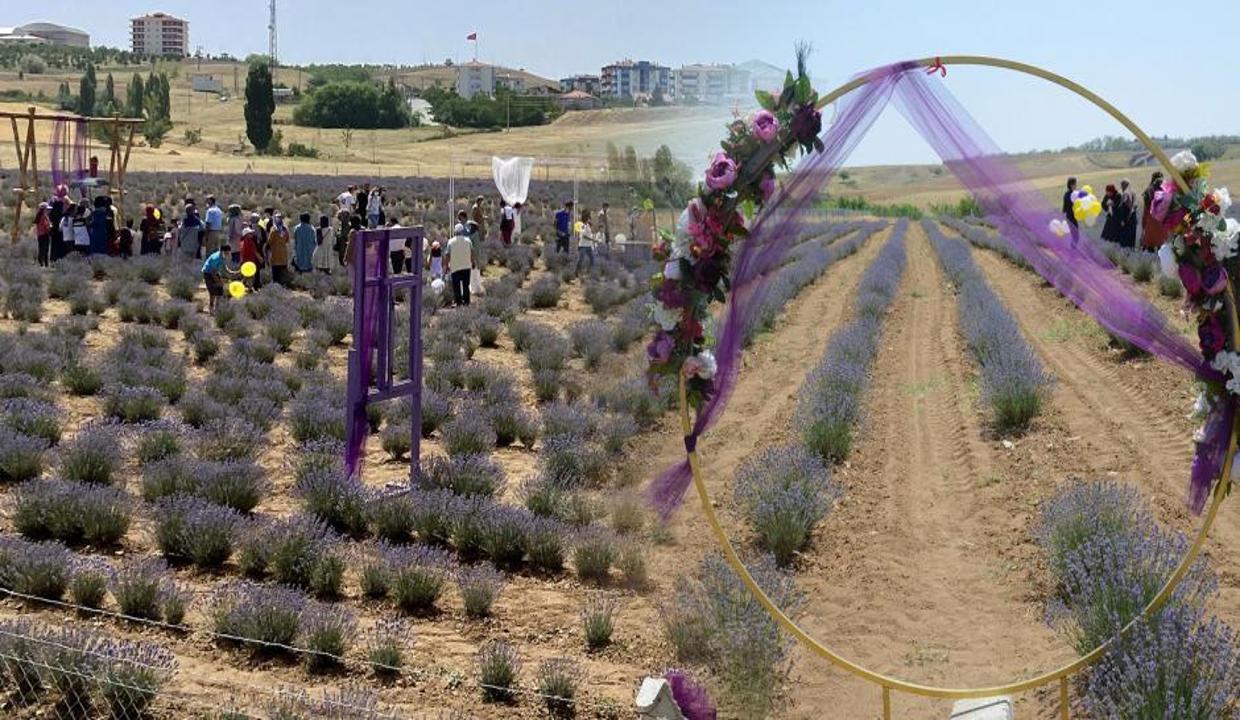 İç Anadolu'nun "örnek bahçeleri" bozkırın ortasında vaha gibi