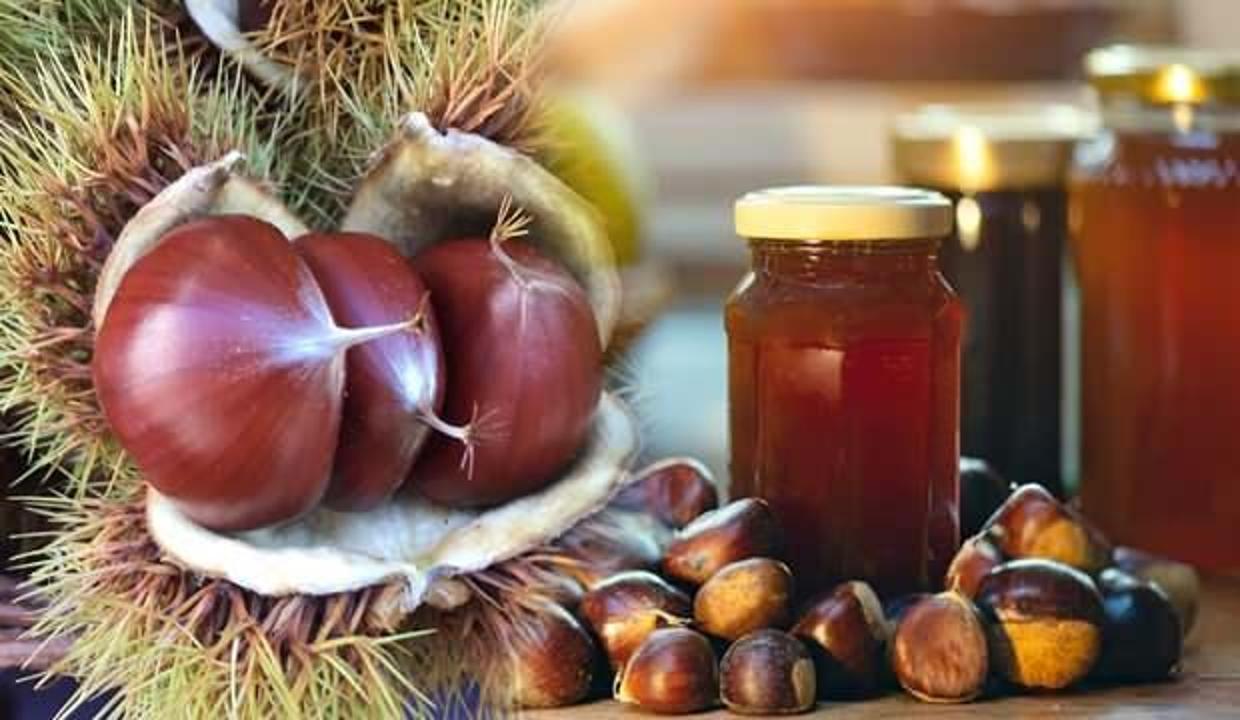 Kestane balının faydaları nelerdir? Kestane balı ne kadar tüketilir?