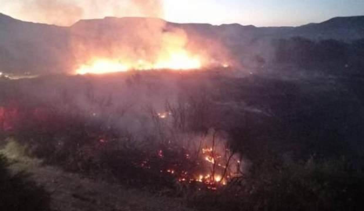 Nallıhan Kuş Cenneti’ndeki yangın kontrol altında