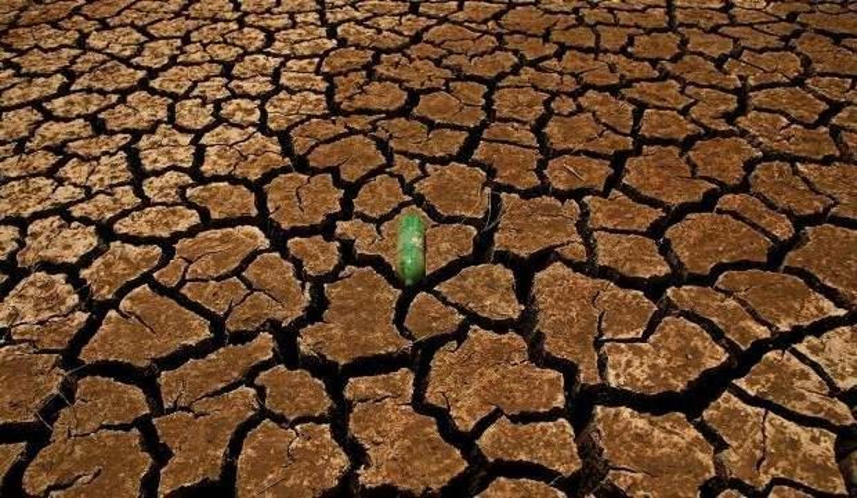 Son dakika: BM'den iklim değişikliği açıklaması!