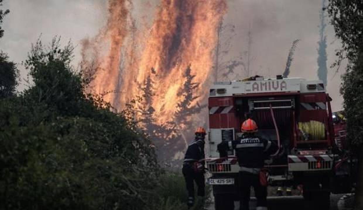 Atina yakınlarında orman yangınları: 2 günde 80-90 bin dönüm arazi kül oldu