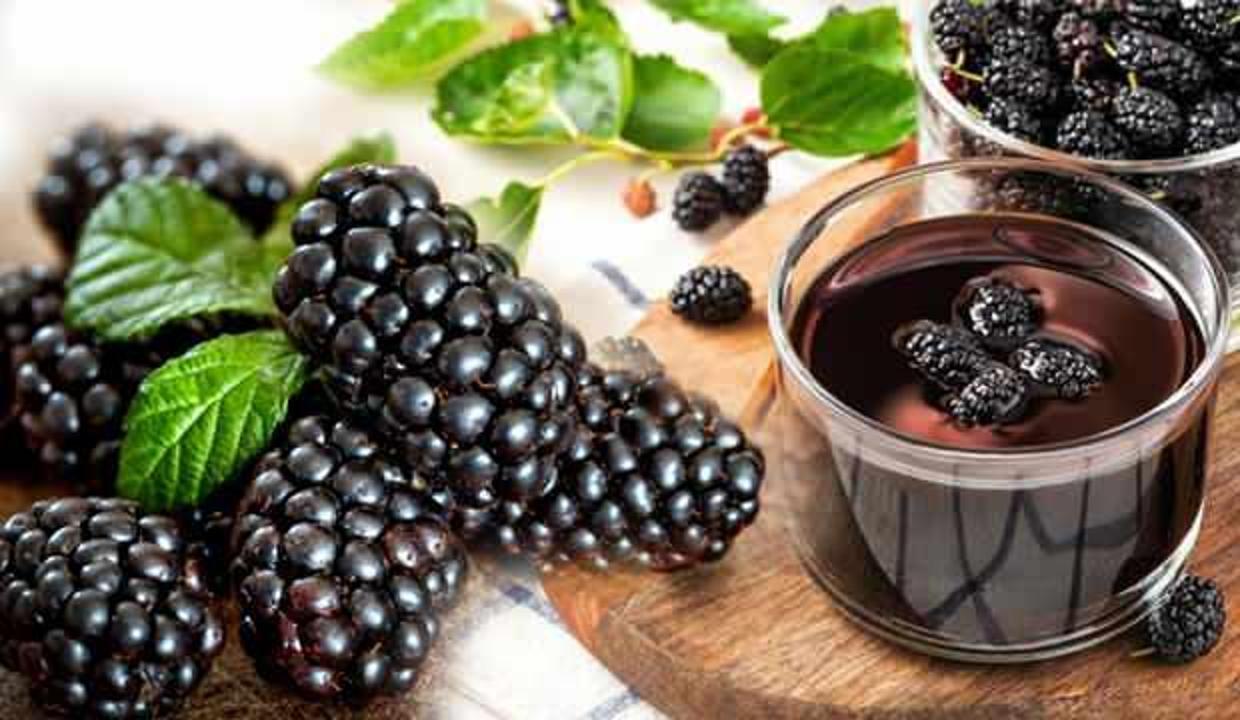 Karadut özünün faydaları nelerdir? Karadut özü hangi hastalıklara iyi gelir?