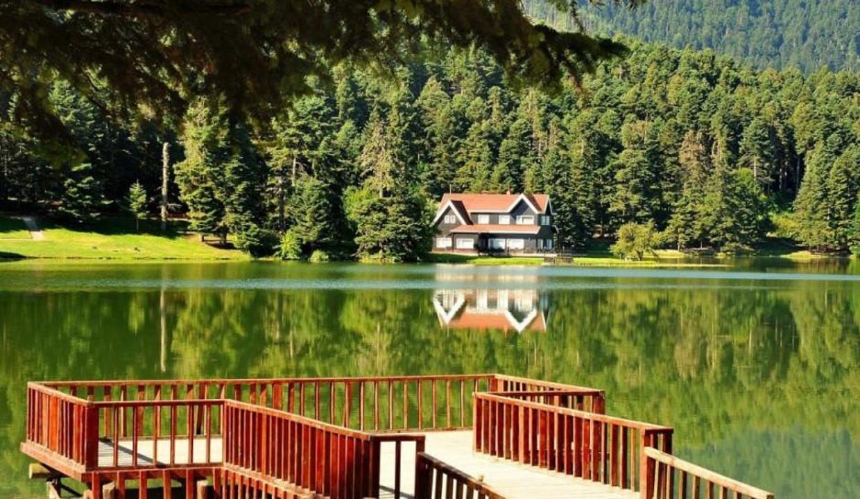 abant_dogaseverlerin_yine_gozdesi_oldu_1629982625_4488 Doğaseverlerin gözdesi yine Abant oldu