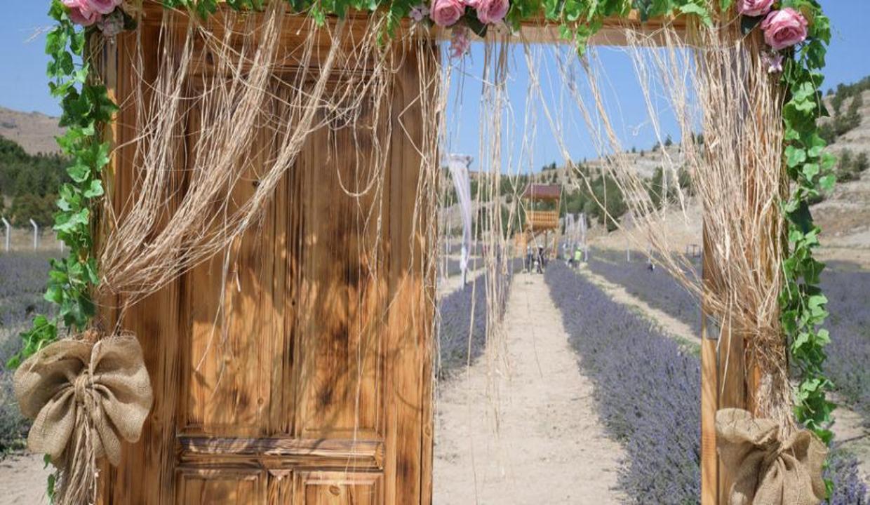 baskentte_lavanta_esintisi_1630138601_3592 Başkentte lavanta esintisi