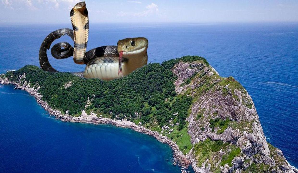 burasi_dunyanin_en_tehlikeli_adasi_girisler_yasak_1630068436_0363 Burası dünyanın en tehlikeli adası! Girişler yasak