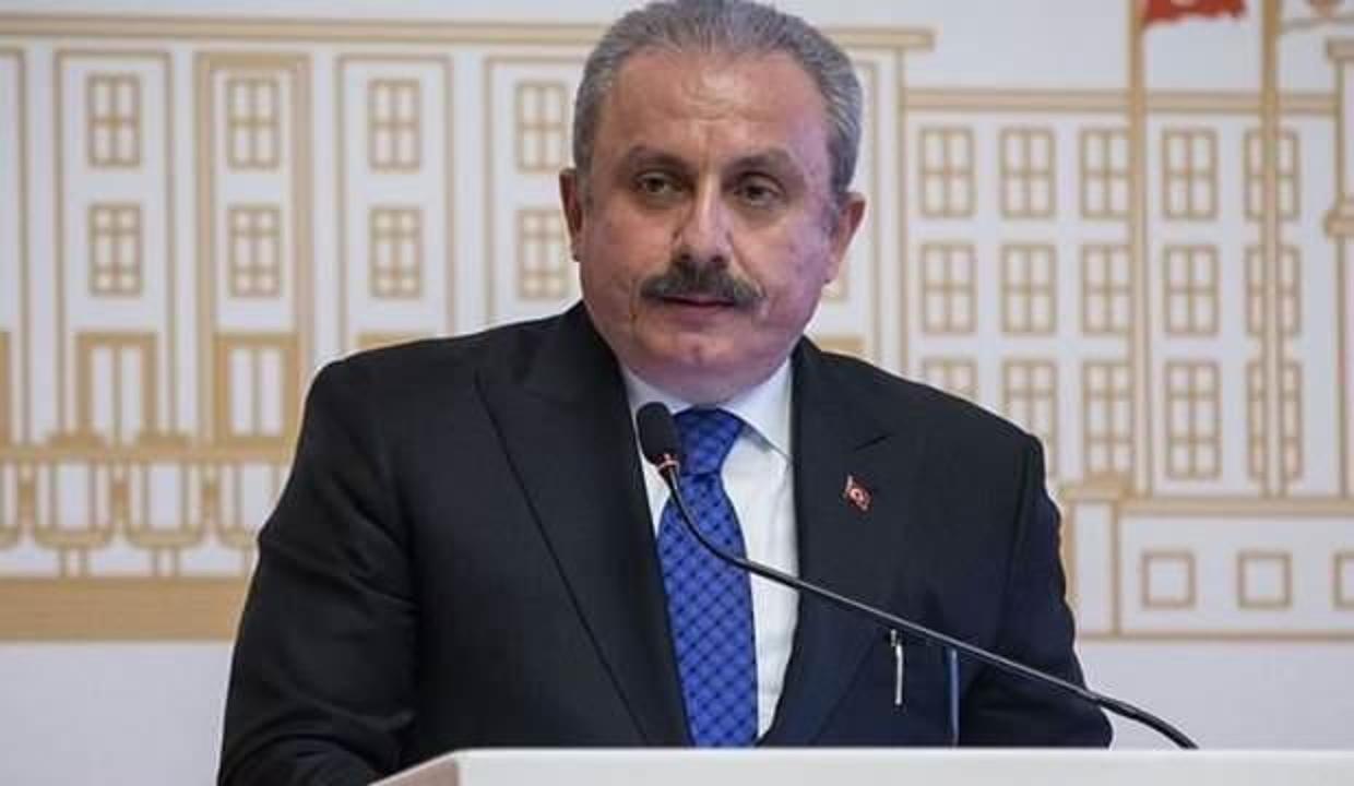 TBMM Başkanı Şentop'tan 30 Ağustos mesajı