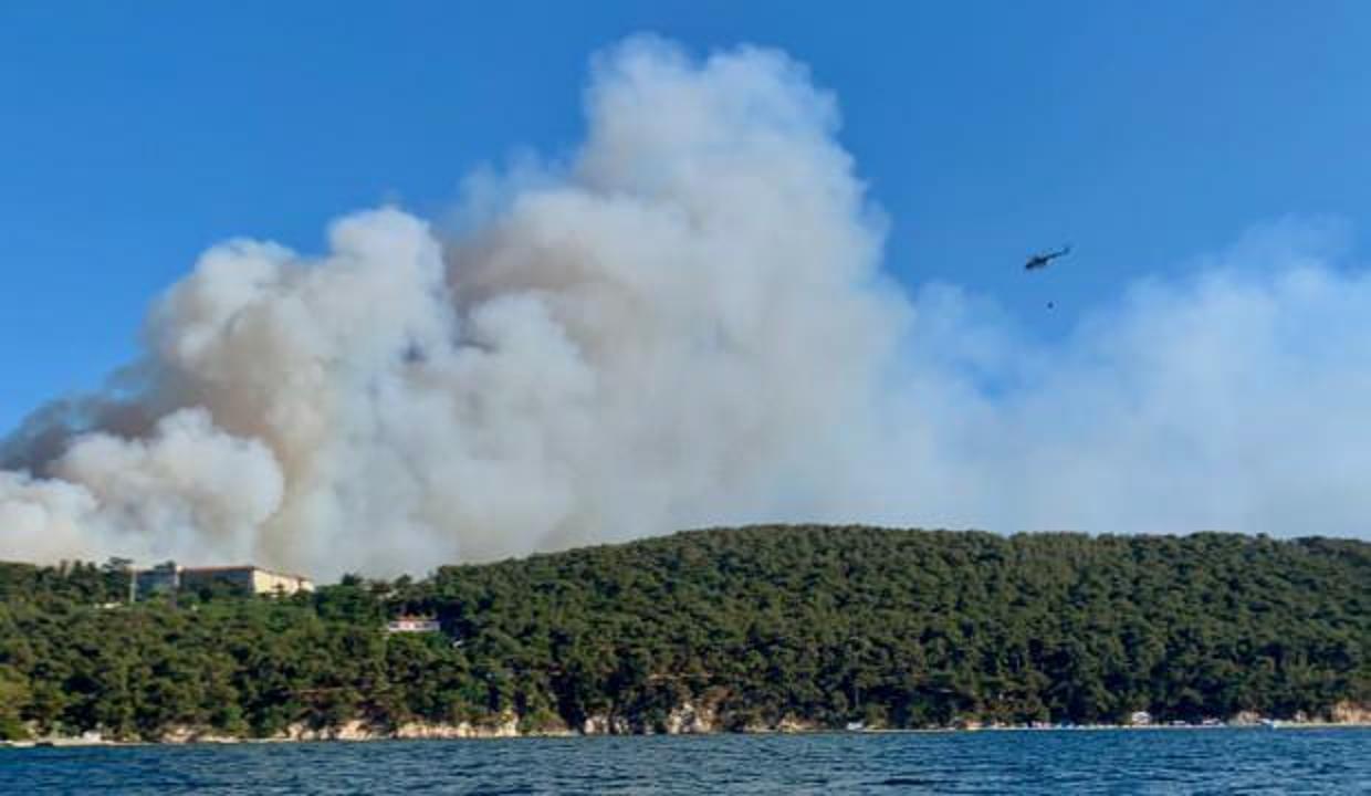 Heybeliada'daki yangında ihmal iddiası!