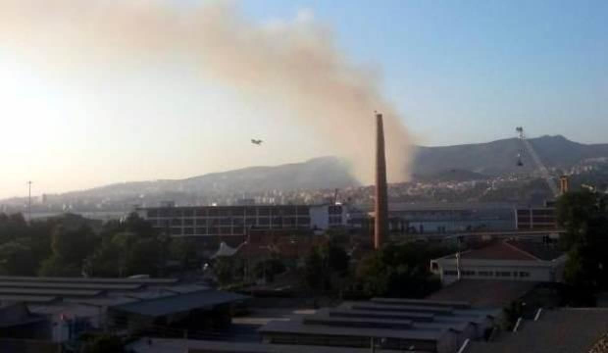 İzmir'de orman yangını