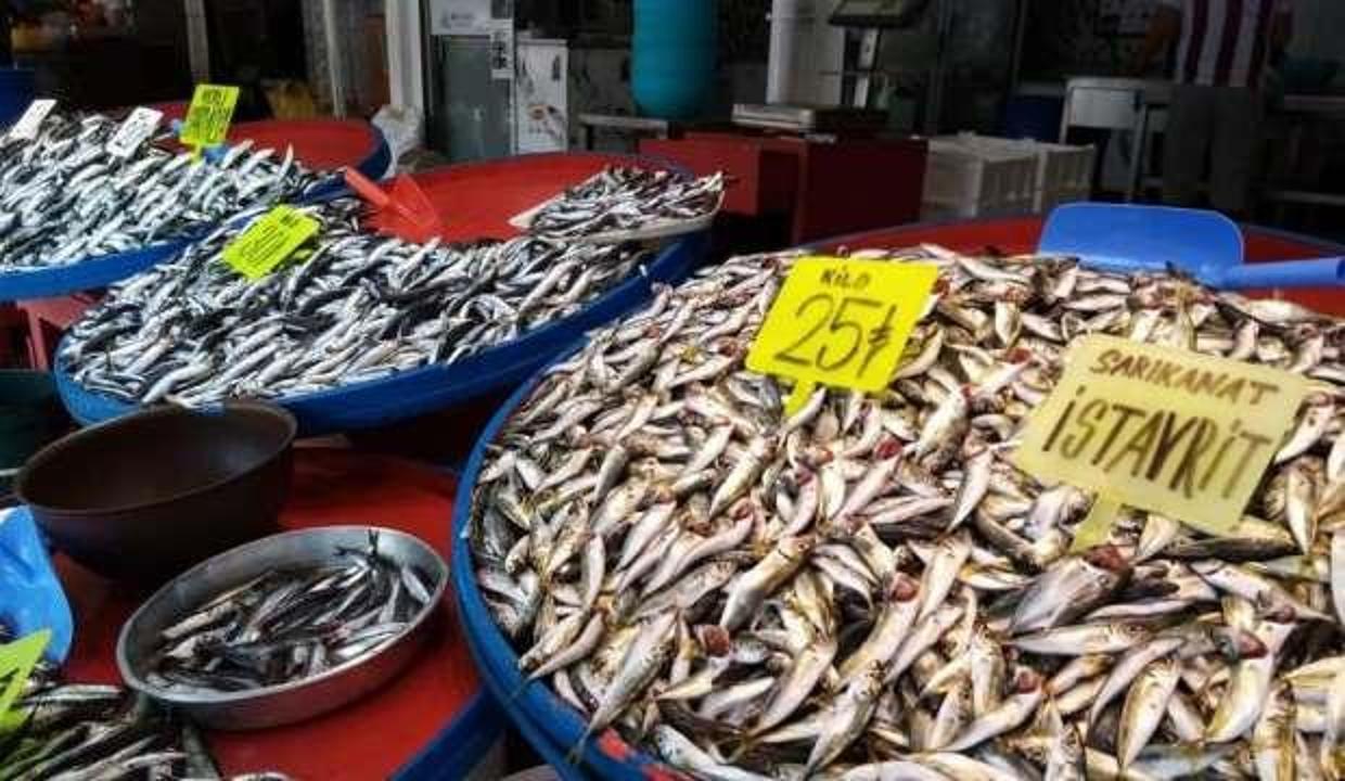 4 kiloluk levreğin kilosu 150 liradan satıldı