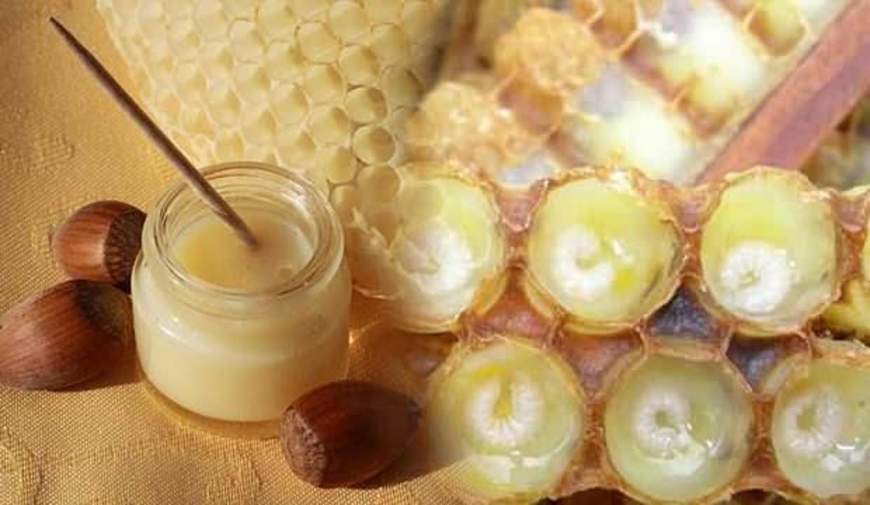 Arı sütünün faydaları nelerdir? Antioksidan kaynağı arı sütünün cilde faydaları...