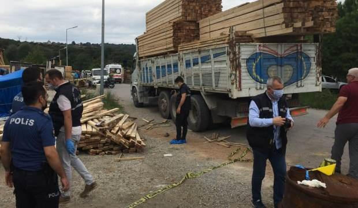 Üzerine kereste düşen kamyon şoförü hayatını kaybetti