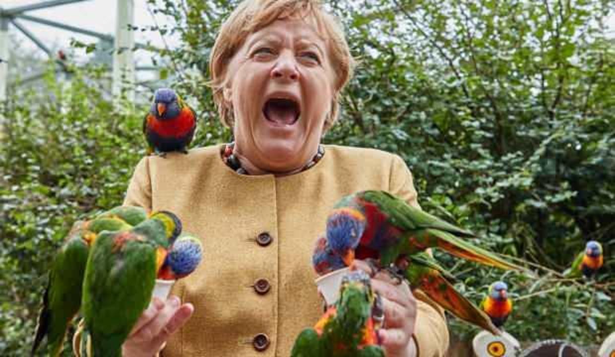 Görevini bırakmaya hazırlanan Merkel'in zor anları