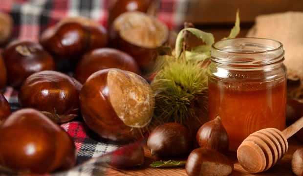 Kestane balının faydaları nelerdir? Kestane balı ne kadar yenir?