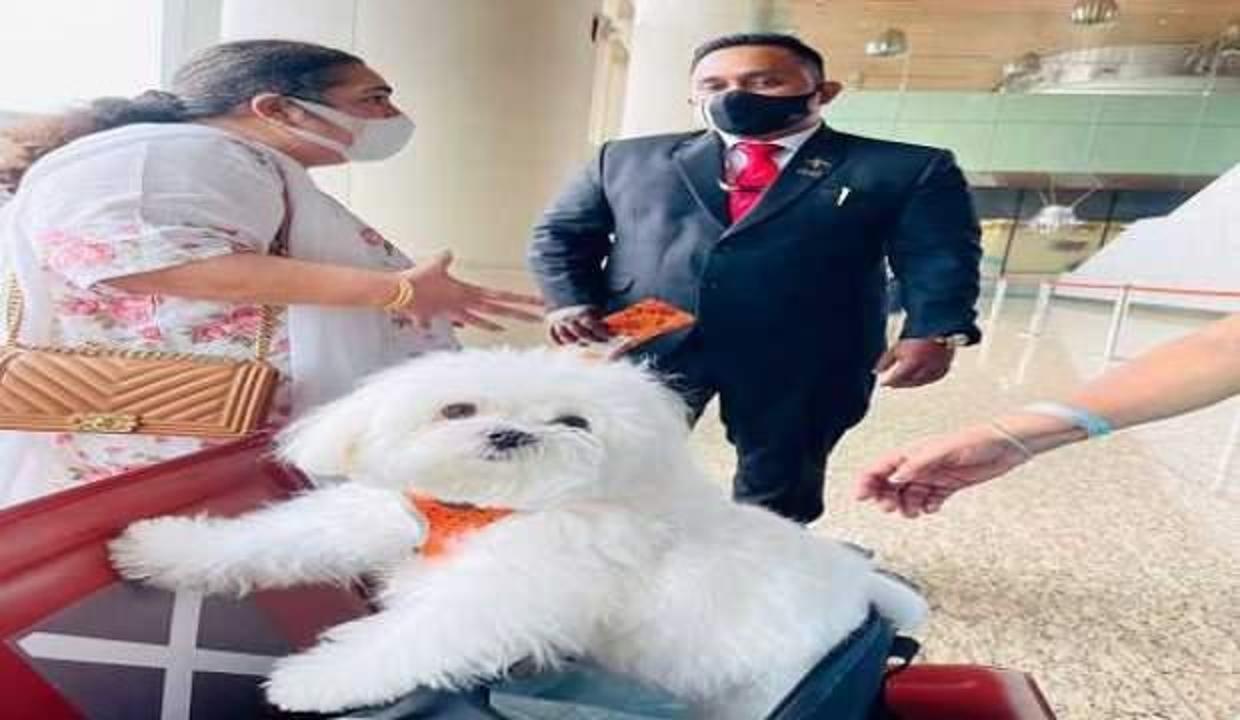 Köpeği için business class'ı kapattı