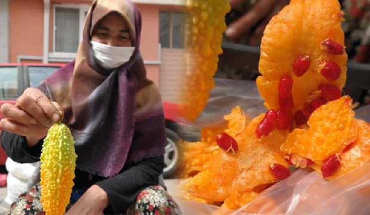 Şifalı olmasından etkilendi! Kudret narı yetiştirmeye başladı