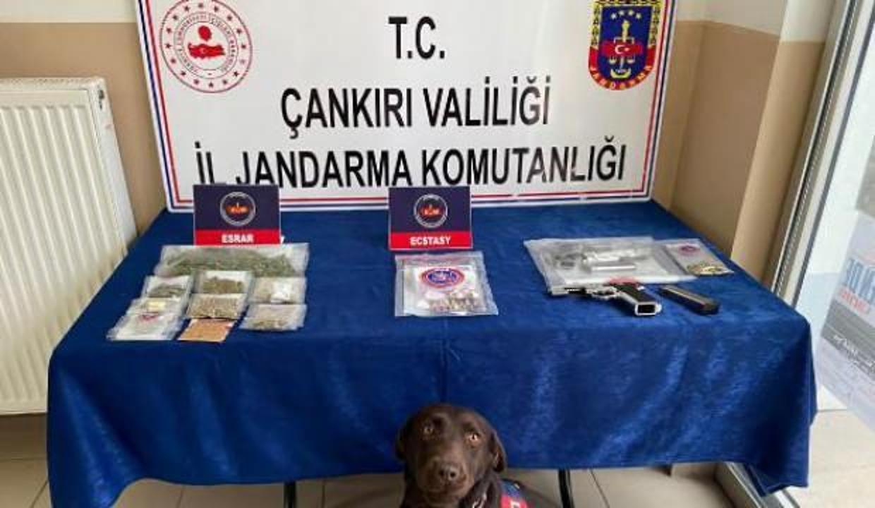 5 ildeki uyuşturucu operasyonunda 13 tutuklama