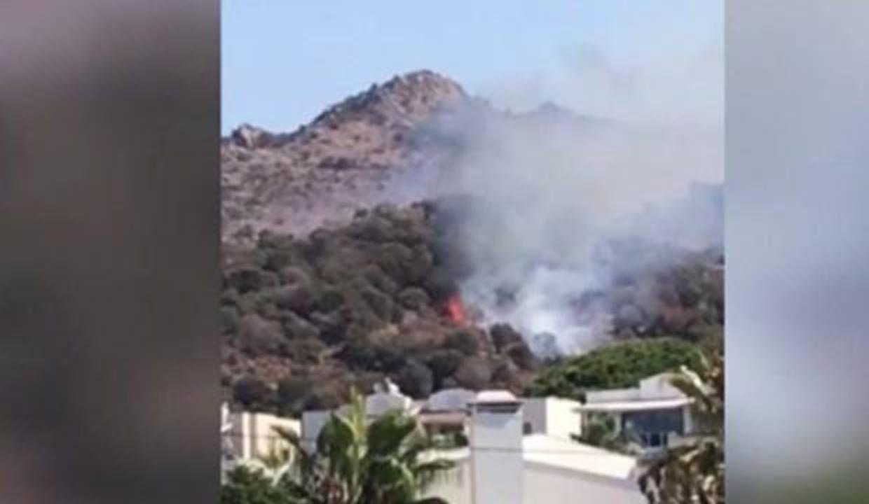 Bodrum'da makilik alanda yangın