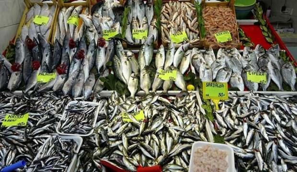 Çanakkale'de balık tezgahlarında bolluk yaşanıyor