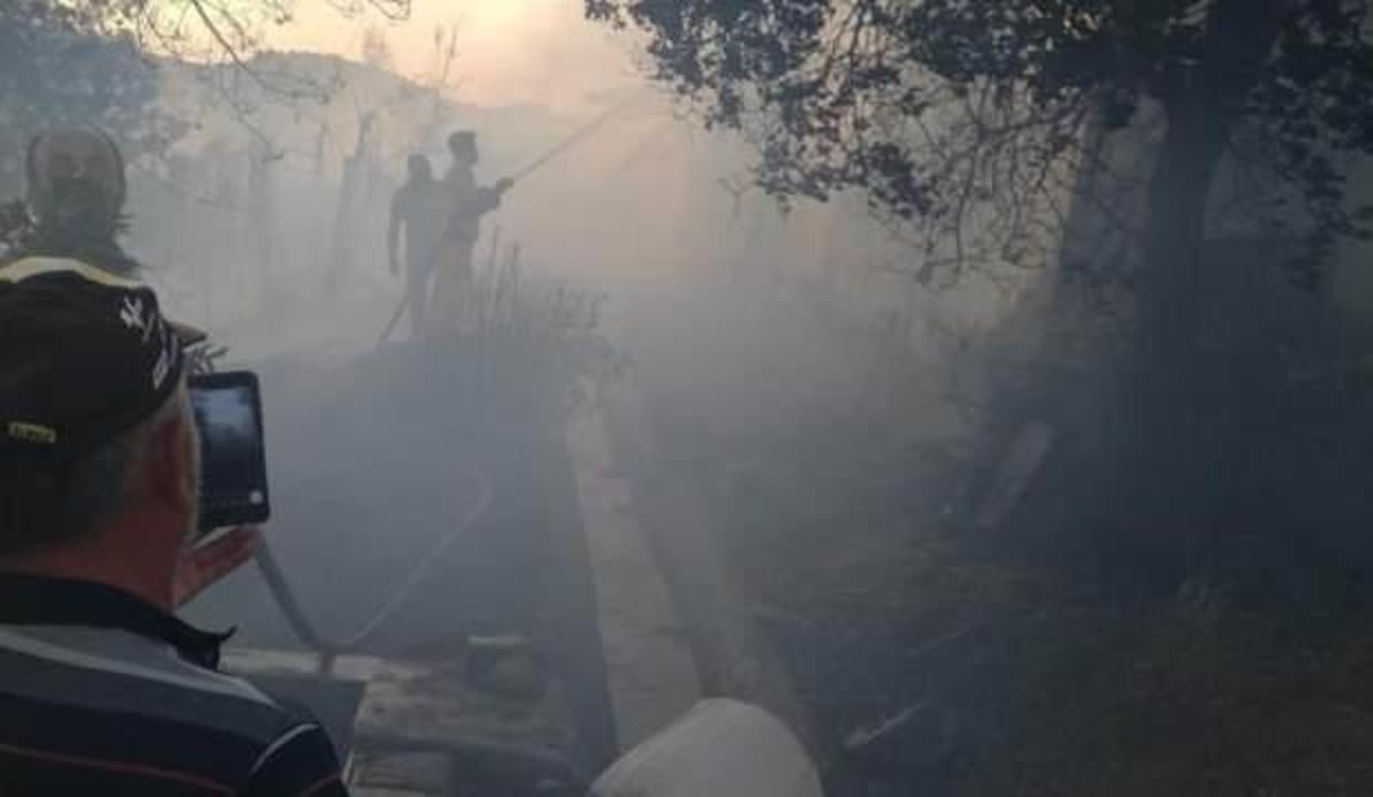 Hatay’da orman yangını