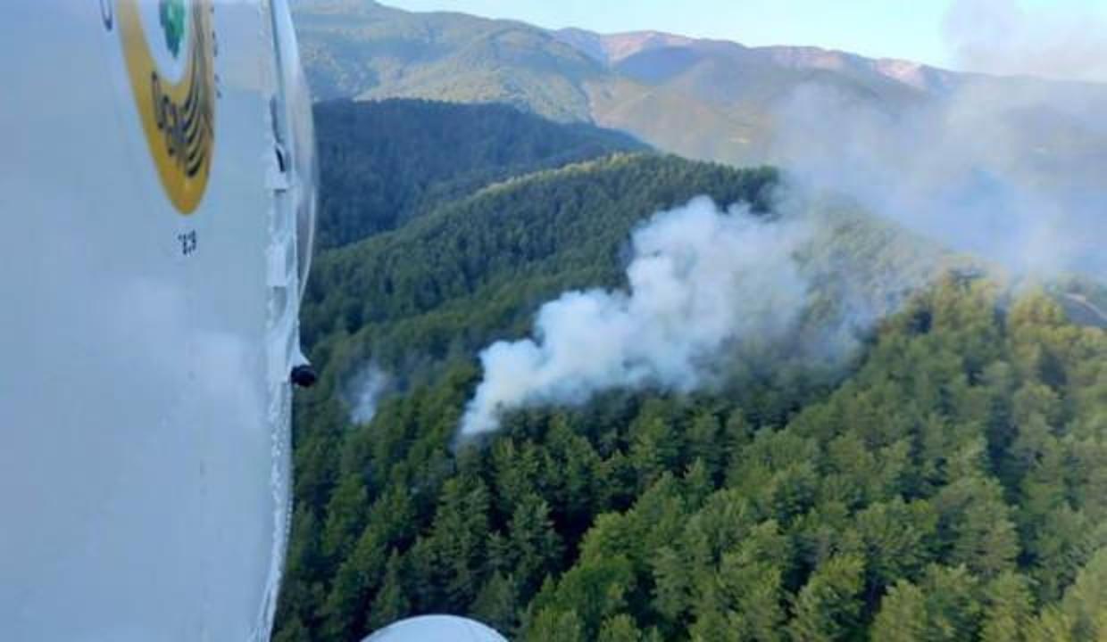 Hatay'daki orman yangını kontrol altına alındı