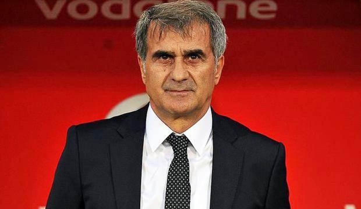 Şenol Güneş kimdir, kaç yaşındadır ve nerelidir? Milli takımdan ayrılan Şenol Güneş'in yeni görevi...