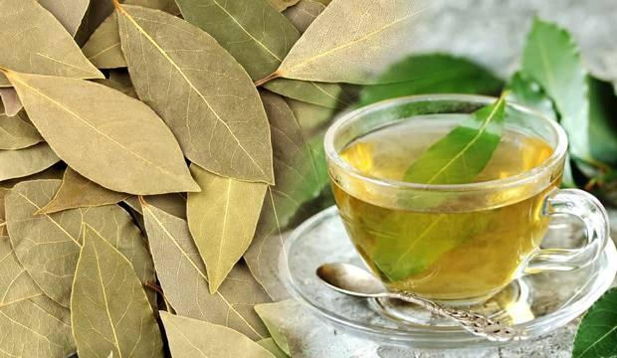 Defne yaprağı faydaları nelerdir? Evde defne yaprağı yakmak neye iyi gelir?