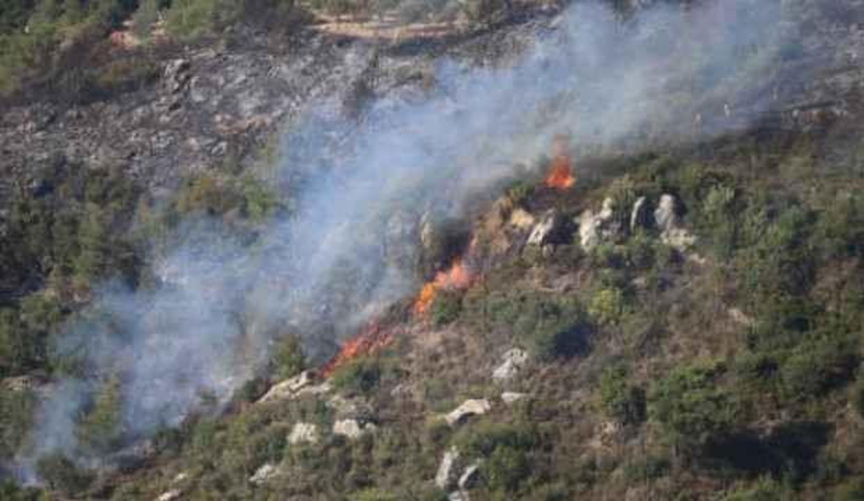 Hatay'da zeytinlik alanda çıkan yangın söndürüldü