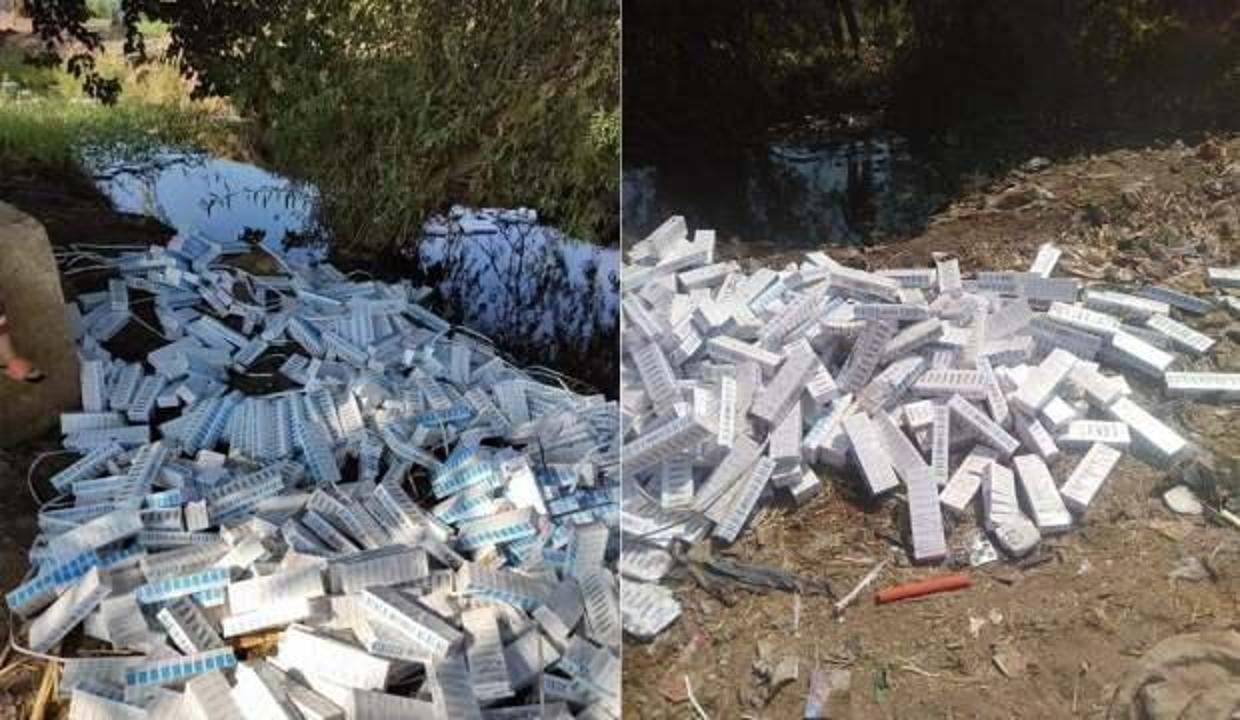 Mısır'da çöplükte yüzlerce Kovid-19 aşısı bulundu