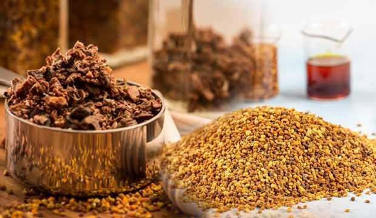 Propolisin faydaları ve zararları nelerdir? Toz propolis nedir, nasıl kullanılır?