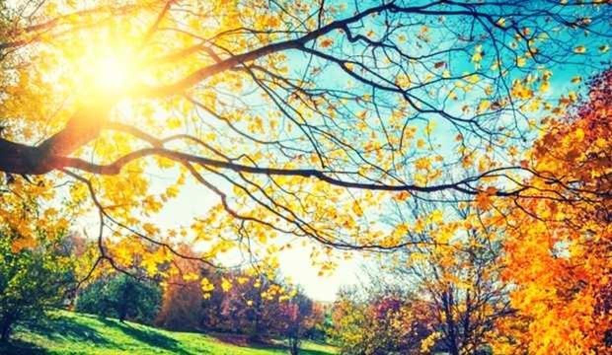 Pastırma sıcakları ne demek? Pastırma sıcakları ne zaman 2021? Neden pastırma sıcakları denir? Hikayesi