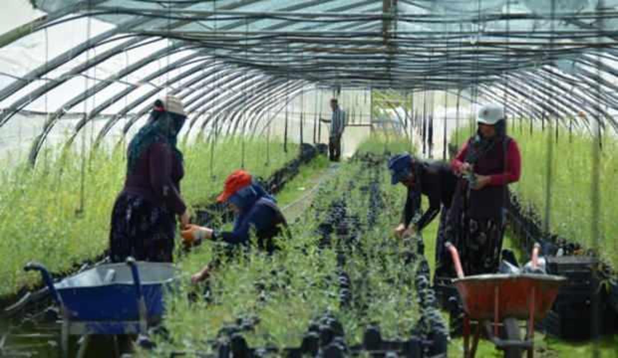 Avrupa ülkeleri sıraya girdi! Para basıyor
