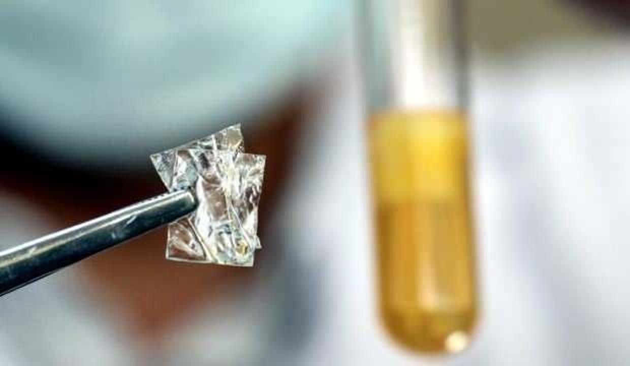 Fitilat ABD'de her yıl 100 bin kişinin erken ölümden sorumlu