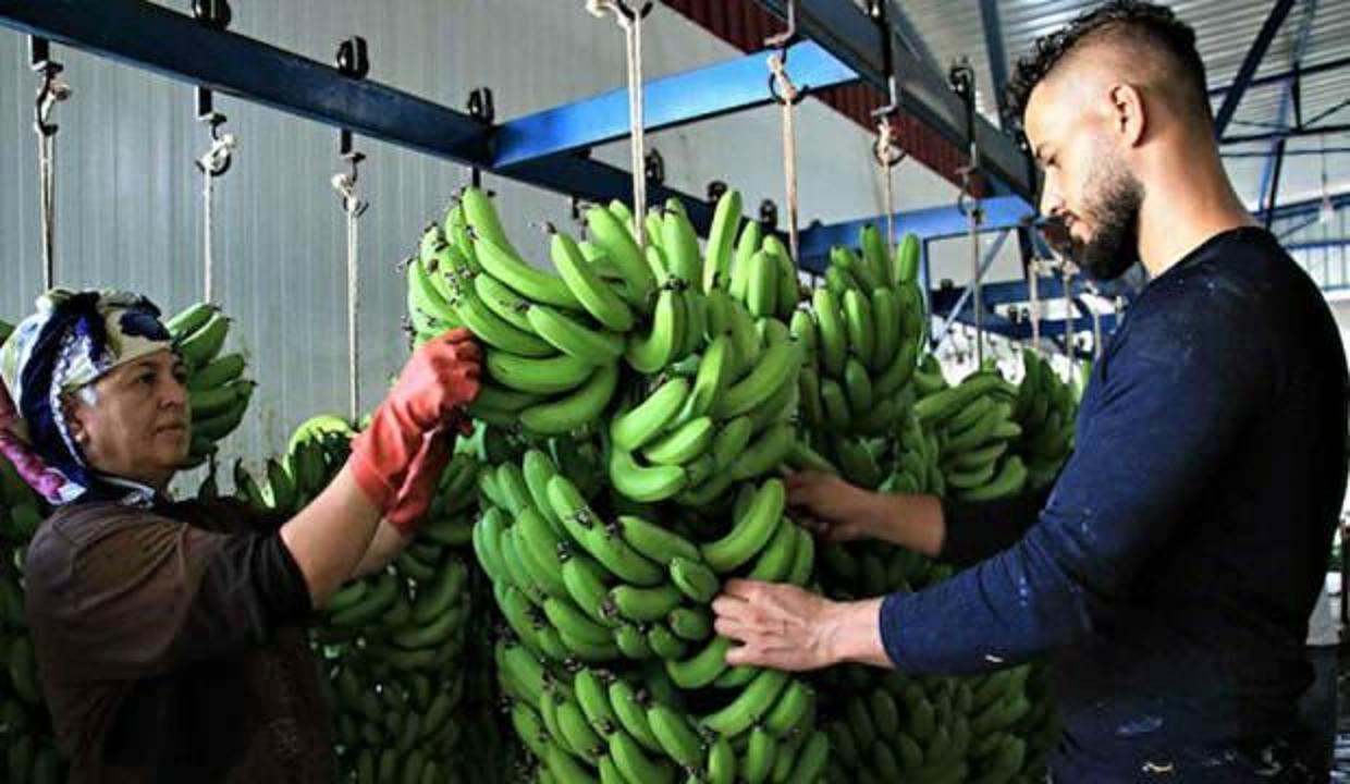 Fiyat uçurumu ortaya çıktı: Üç liradan alınıp 15 liradan satılıyor