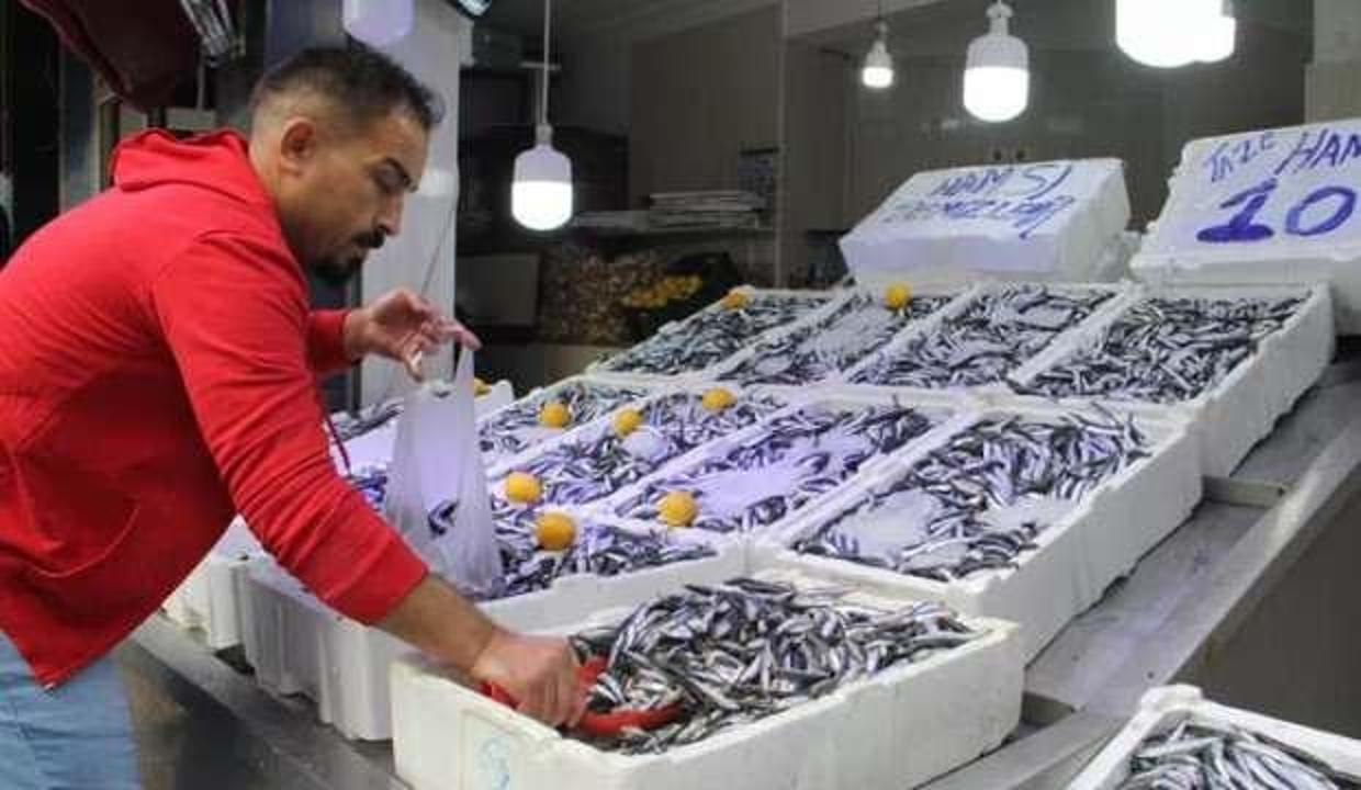 Hamsinin kilosu 10 liraya düştü
