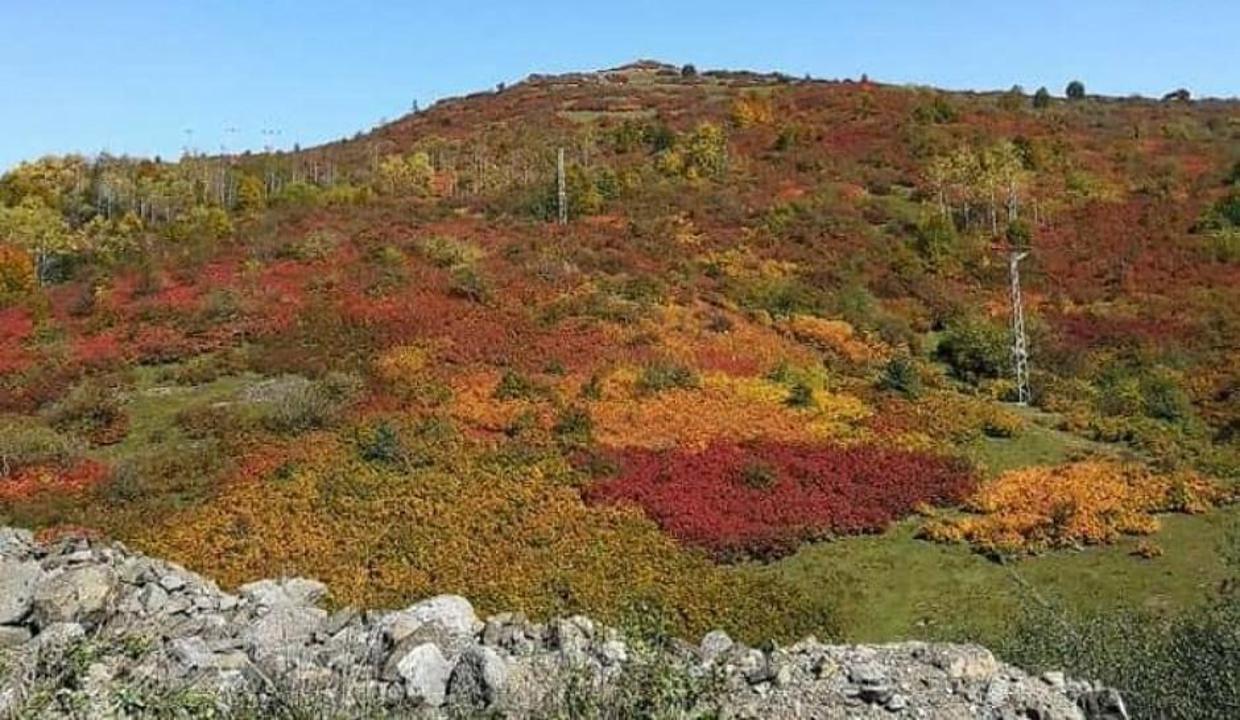 Karadeniz yaylalarında sonbahar coşkusu