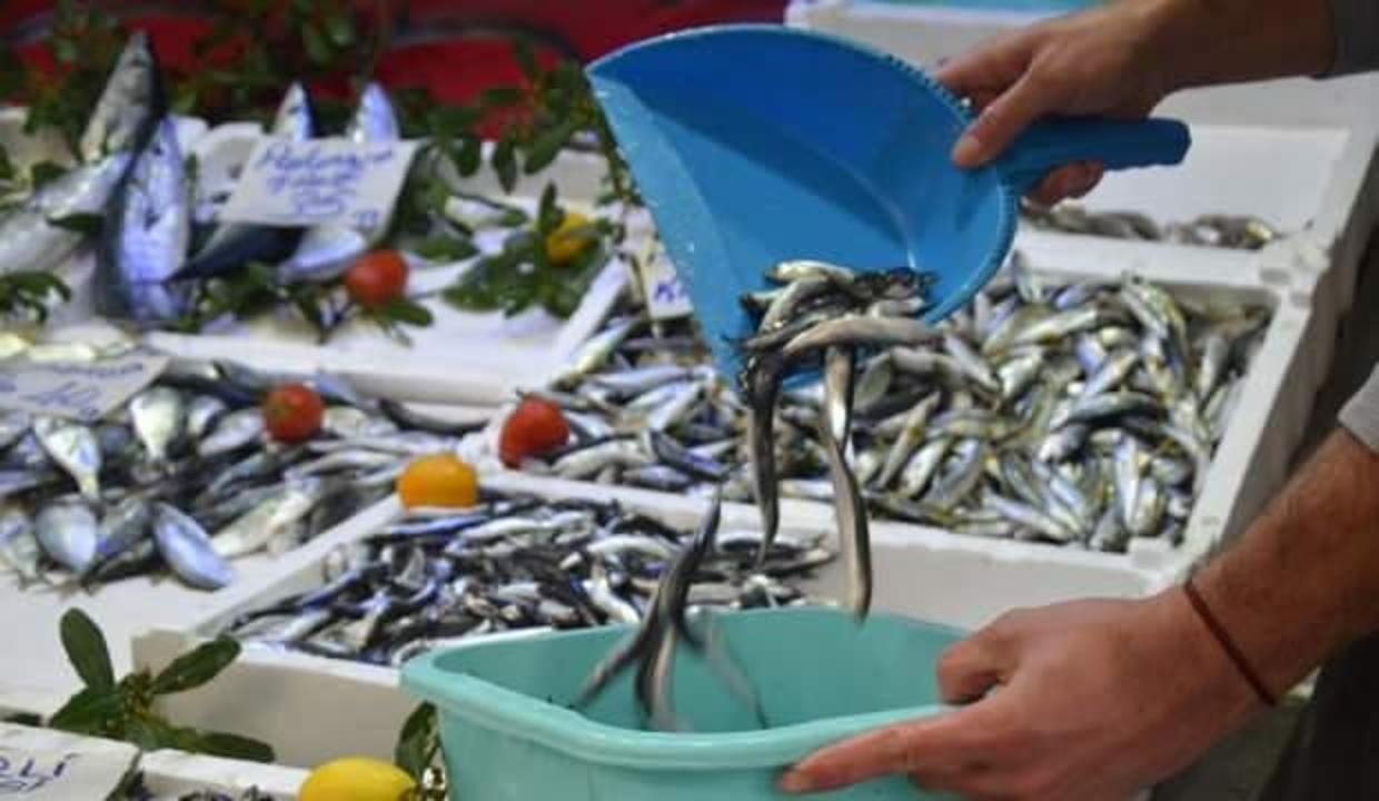 Artan fiyatlar balığa olan talebi düşürdü