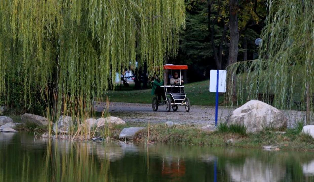 Botanik Park sonbahar renkleriyle ayrı bir güzelliğe kavuştu