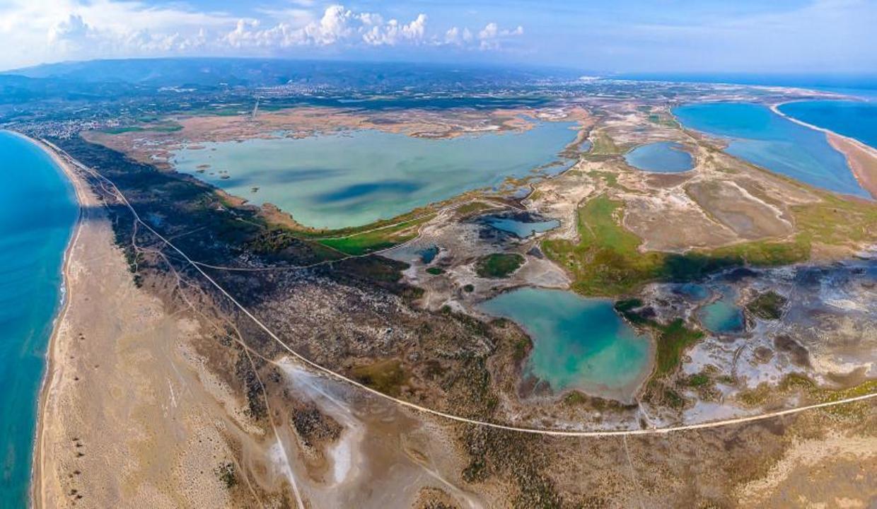 Burası Göksu Deltası: Tam 334 kuş türüne ev sahipliği yapıyor