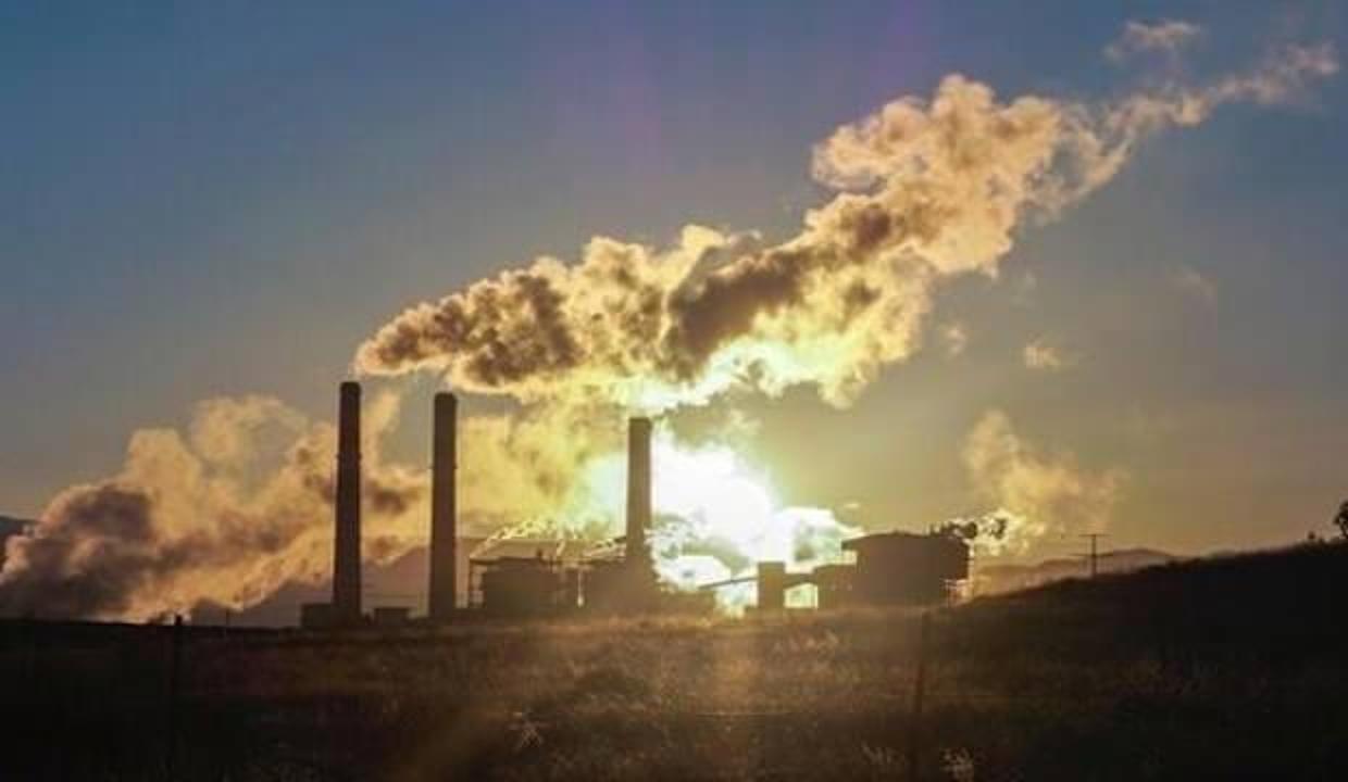 "En hevesli" hedef deyip açıkladı! 2050'de sıfırlanacak