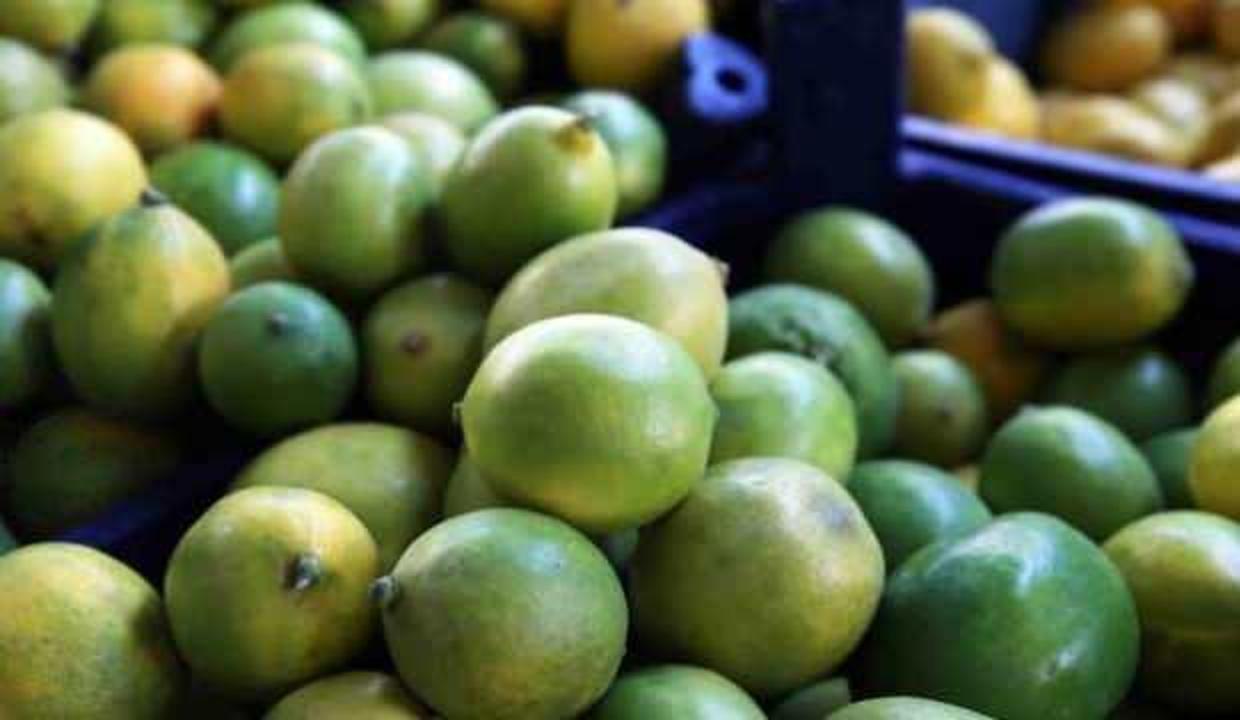 Narenciye ihracatı 427 milyon dolara ulaştı