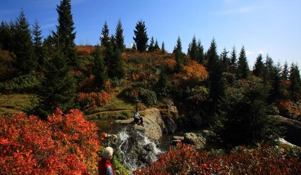 Fotoğraf tutkunları sonbaharda buraya akın ediyor! Sis Dağı'da harika manzaralar