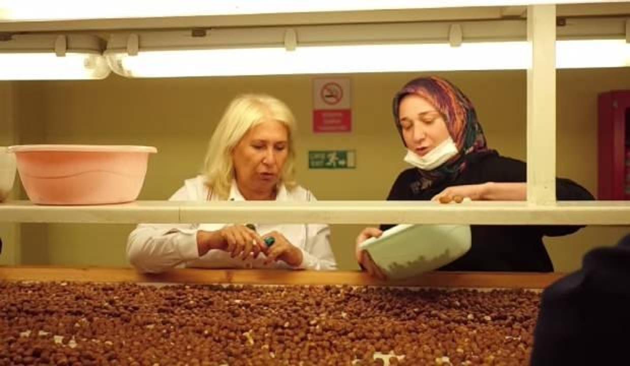 Topraktan Sofraya üretim şehri Kocaeli’nde