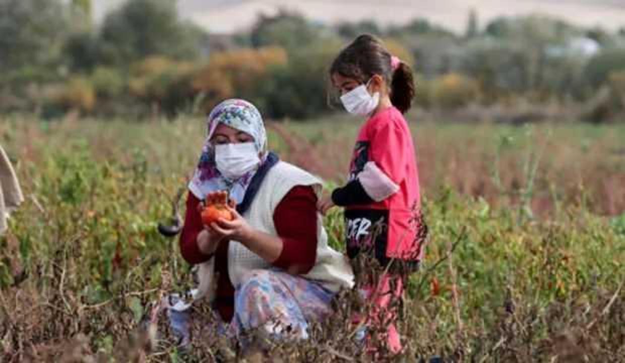 Türkiye'de ilk olacak! Avrupa sıraya girdi