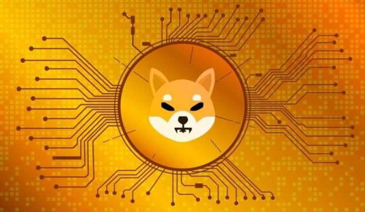 Bitcoin düştü, SHIB sert yükseldi