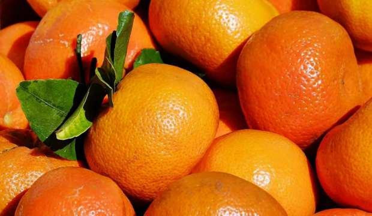 Rusya, 218 ton mandalinayı Türkiye’ye gönderdi