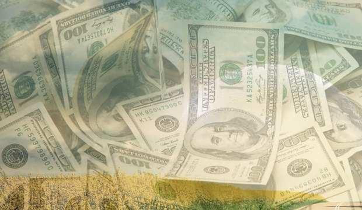 Rüyada deste deste dolar görmek iyiye mi işaret? Rüyada dolar saçtığını görmek
