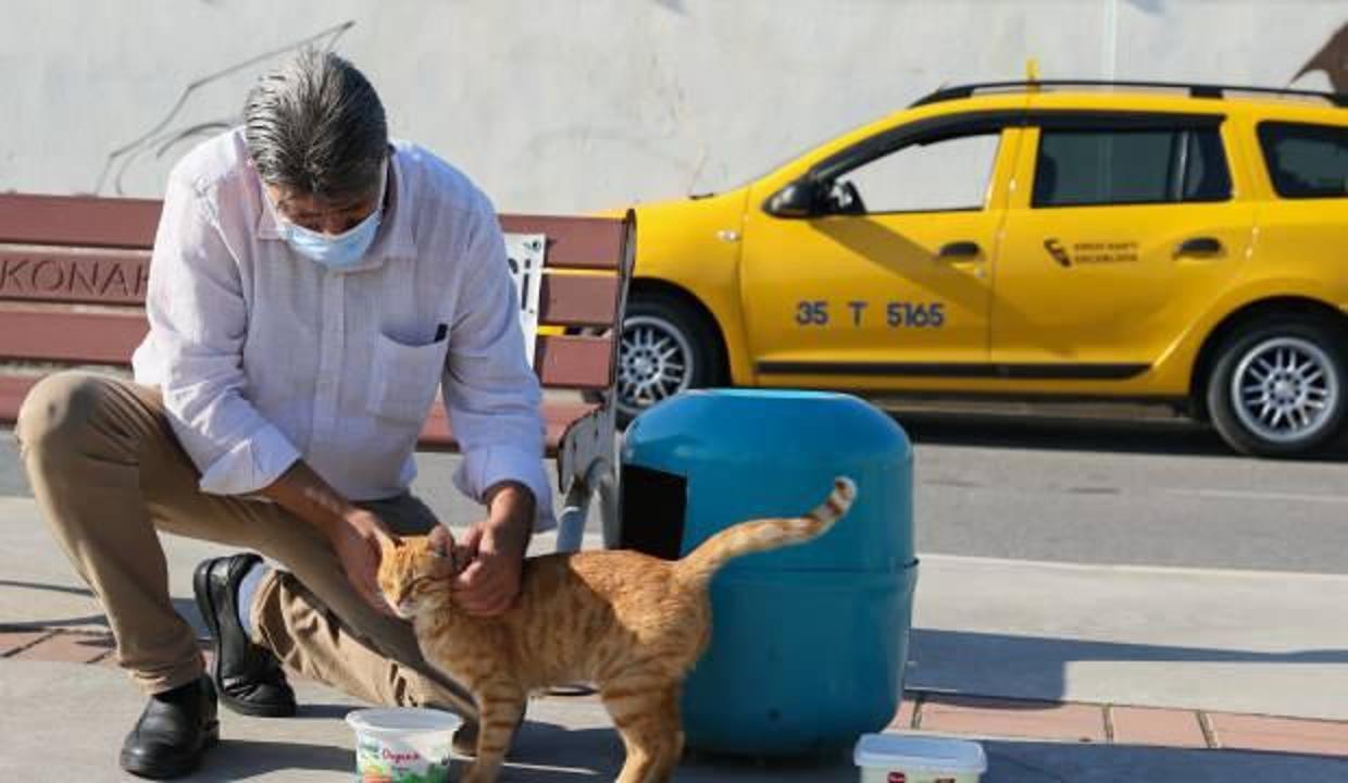 İzmirli taksici 'mama kutusu'nda biriken parayla sokak kedilerine bakıyor