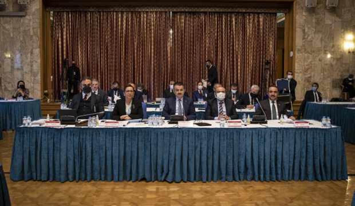 Tarım ve Orman Bakanlığının 2022 bütçesi Plan ve Bütçe Komisyonunda