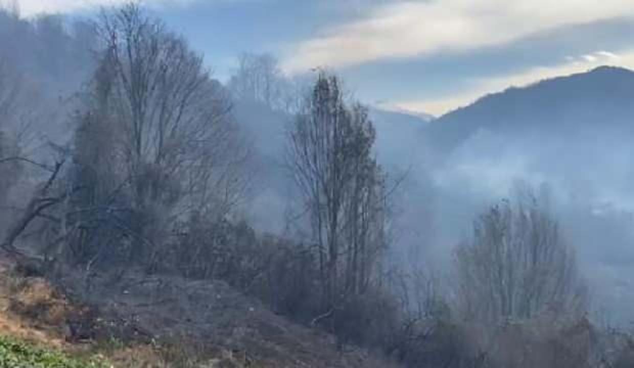 Trabzon ve Rize'de orman yangınları