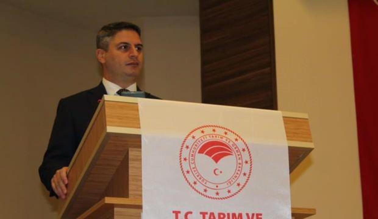 Türkiye, tarım ve buğday ürünleri ihracatında dünyada birinci sırada